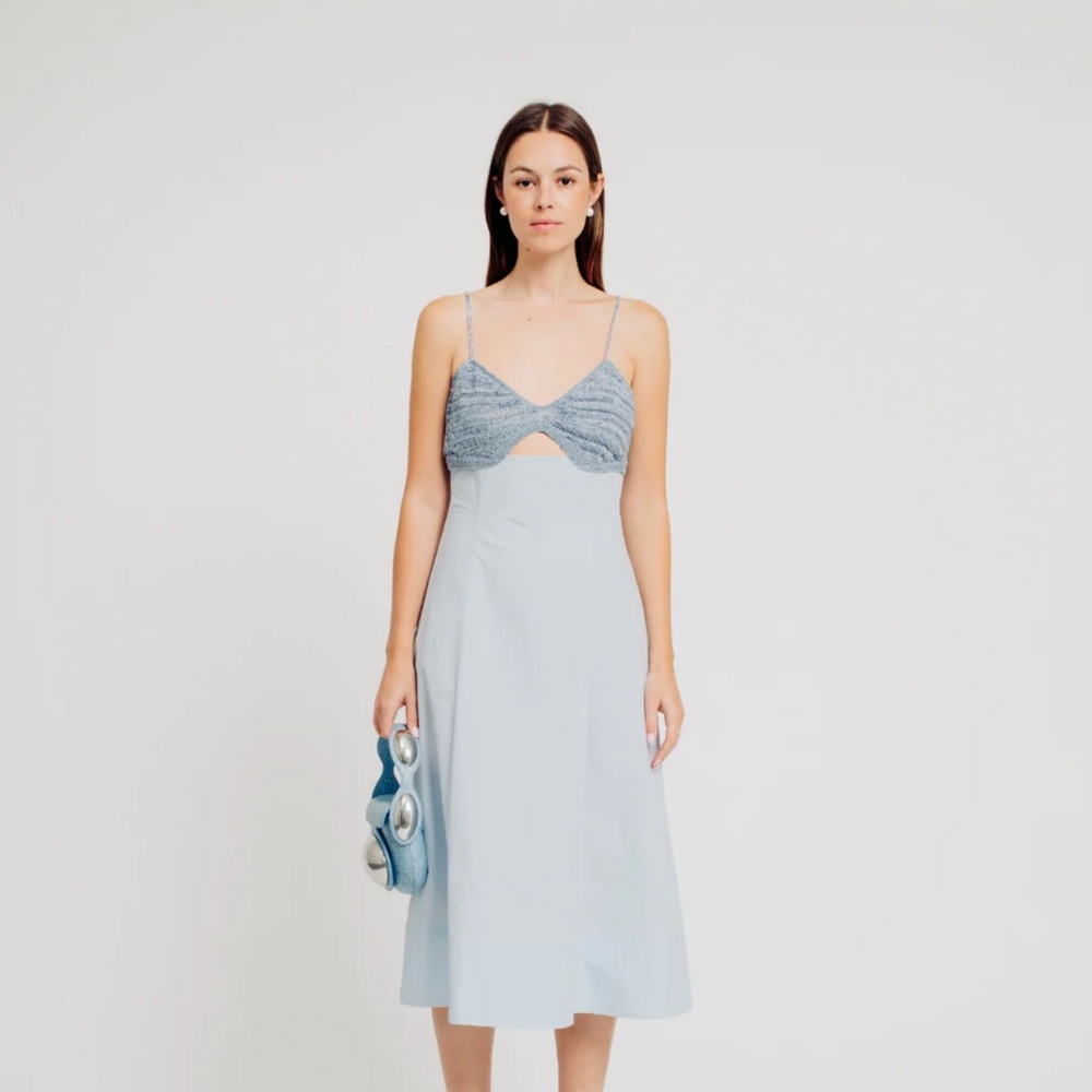 Torn by Ronny Kobo Light Blue Midi Dress